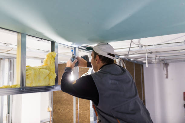Best Blown-in Insulation in Laguna Park, TX