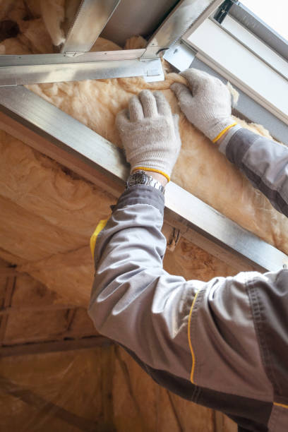 Best Insulation Maintenance and Repair in Laguna Park, TX