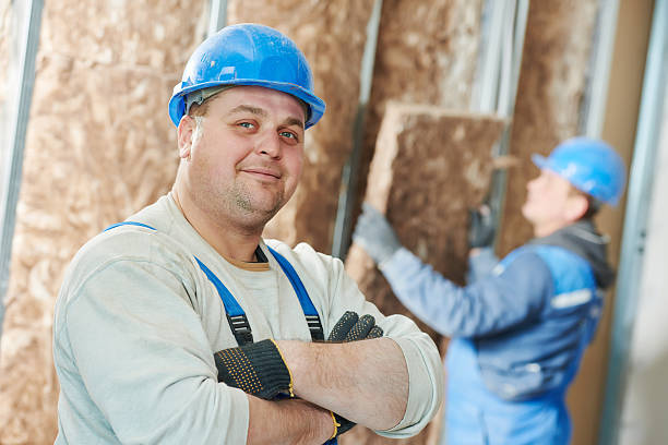 Best Geographic-Specific Insulation Services in Laguna Park, TX