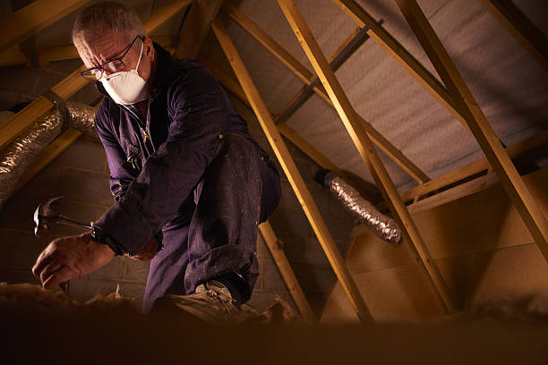 Best Commercial Insulation in Laguna Park, TX