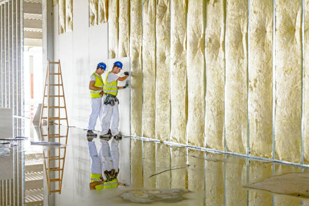 Types of Insulation We Offer in Laguna Park, TX